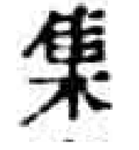 a printed glyph of 集 cut from a page